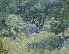 Gogh, Vincent van: Olivový sad