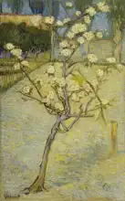 Gogh, Vincent van: Kvetoucí hrušeň
