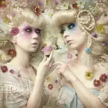Murakami, Kiyo: Dívka z květinové zahrady