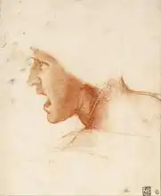 Vinci, Leonardo: Studie portrétu hlavy bojovníka v bitvě u Anghiari