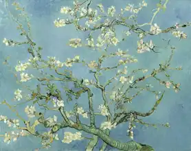 Gogh, Vincent van: Větev mandlovníku
