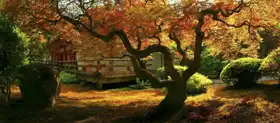 Neznámý: Strom v japonské zahradě