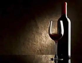 Neznámý: Láhev s červeným vínem a sklenicí