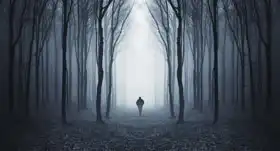Neznámý: Muž v pohádkovém lese