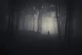 Neznámý: Podivná postava ve strašidelném lese