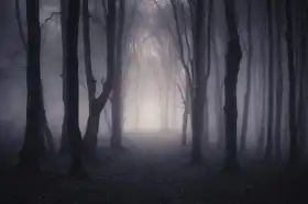 Neznámý: Cesta přes temný les