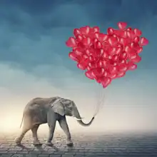 Neznámý: Slon s červenými balónky