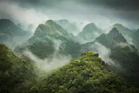 Neznámý: Letecký pohled na deštný prales