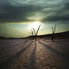 Neznámý: Dead valley v Namibii
