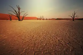 Neznámý: Údolí smrti v Namibii
