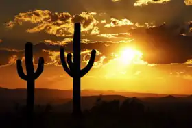 Neznámý: Arizona - pouštní slunce