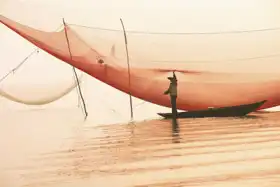 Neznámý: Rybář při kontrole sítí, Vietnam