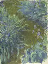 Monet, Claude: Kosatce