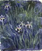 Monet, Claude: Kosatce