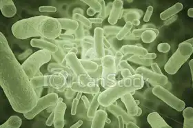 Neznámý: Bakterie
