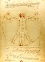 Vinci, Leonardo: Studie lidské postavy