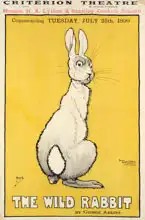 Hissin, J.: The Wild Rabbit poster