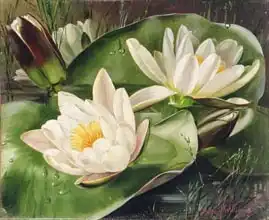 Williams, Albert: Water Lilies