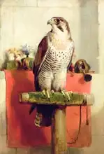 Landseer, Edwin: Falcon