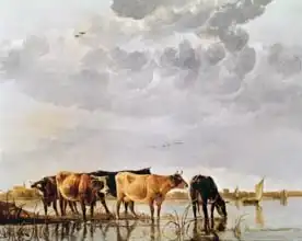 Cuyp, Aelbert: Cows in a River