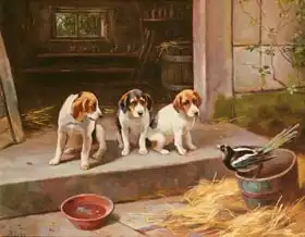 Duke, Alfred: Uninvited Guest