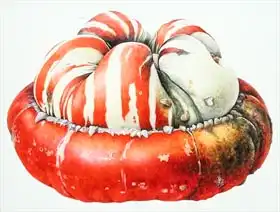 Eden, Margaret Ann: Turk Turban Squash