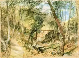 Turner, William: Woodwalk, Farnley Hall