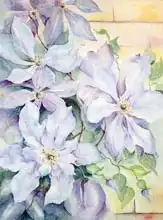 Armitage, Karen: Clematis, The President