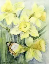 Armitage, Karen: Delias Mysis (Union Jack Butterfly on Daffodils)