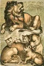 Anglická škola (19. století): African Lion, Lioness and Cubs