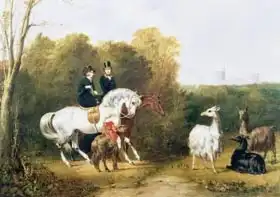 Steel, Gourlay: Queen Victoria (1819-1901) and Prince Albert (1819-61) Viewing the Llamas in the House Park, Windsor