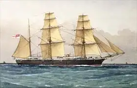 Mitchell, William Frederick: Wild Swan