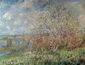 Monet, Claude: Jaro