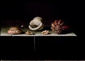 Coorte, Adrian: Six Shells on a Stone Shelf