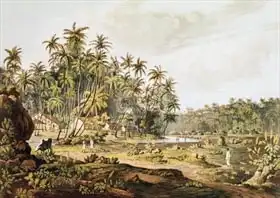 Salt, Henry: View near Point du Galle, Ceylon