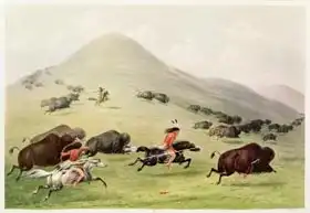 Catlin, George: Buffalo Hunt