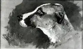 Toulouse-Lautrec, H.: Head of a Dog with Short Ears