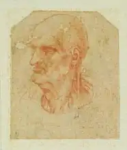 Vinci, Leonardo: Head of a beardless old man, left profile
