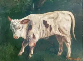Courbet, Gustave: Calf