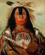 Catlin, George: Stu-mick-o-sAocks, Buffalo Bull Back Fat, Head Chief, Blood Tribe