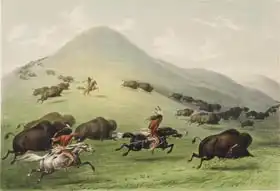 Catlin, George: Buffalo Hunt