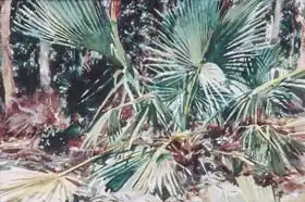 Sargent, John Singer: Palmettos