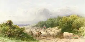 Gosling, William W.: Sheep on the Downs