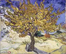 Gogh, Vincent van: Morušovník