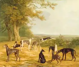 Agasse, Jacques-Laurent: Nine Greyhounds in a Landscape