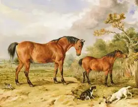 Ward, James: Portrait of Reformer, Blucher, Tory and Crib, the Property of Rowland Alston